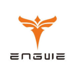 Engwe DE