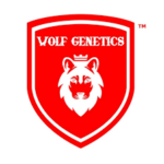 Wolf Genetics